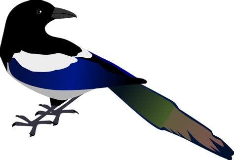Australian Magpie Clipart 20 Free Cliparts Download Images On