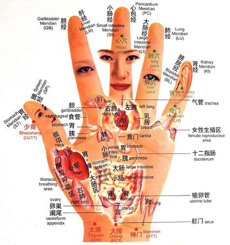 Important acupressure points on your hand to heal yourself. Hand-reflexology-Chart | Reflexology Map | food ...