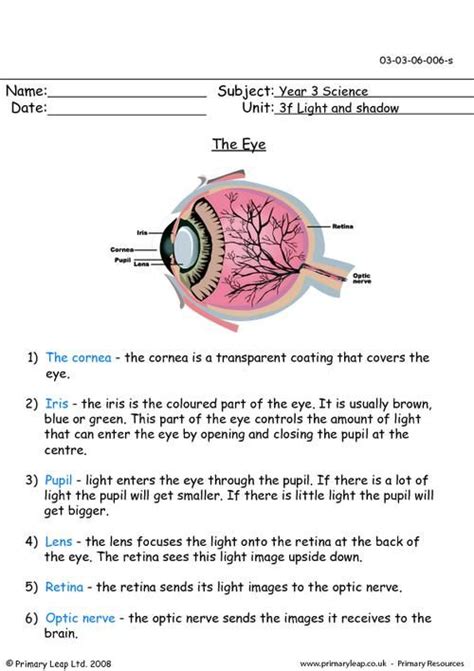 The Eye Uk Biology Worksheet Parts Of The Eye Free