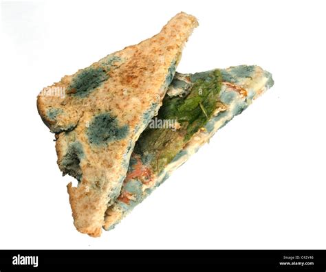 Viejo Podrido Pútrido Sandwich Fotografía De Stock Alamy