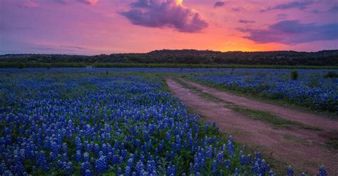 The Definitive Texas Hill Country Road Trip Roadtrippers
