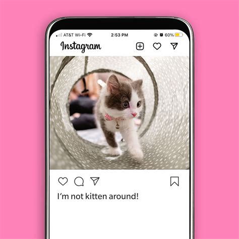 43 Purrfect Instagram Captions For Your Cat Photos Laptrinhx News