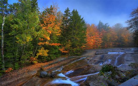 Stream In Misty Autumn Forest Wallpaper And Background Image 1680x1050