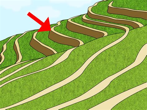 How To Prevent Soil Erosion Steps With Pictures Wikihow
