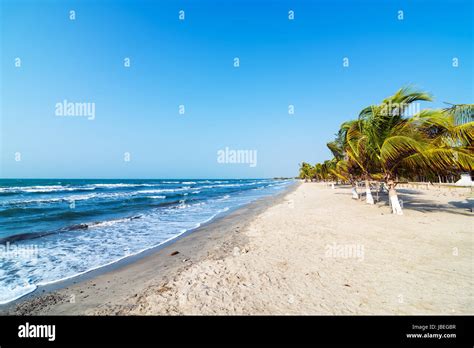 White Sand Beach And Palm Trees On The Colombian Caribbean Coast In