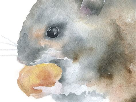 Field Mouse Watercolor Painting Giclee Print 7 X 5 Etsy