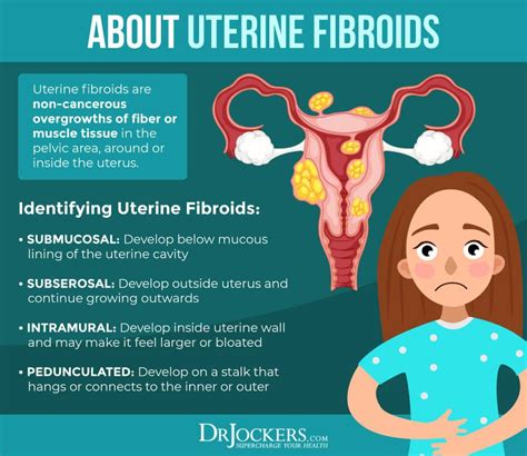 Small Fibroid In Uterus