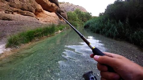 Brown Trout Fishing In The Mountains Spain Youtube