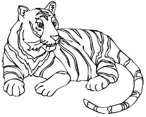 Un Tigre Para Colorear Imagui