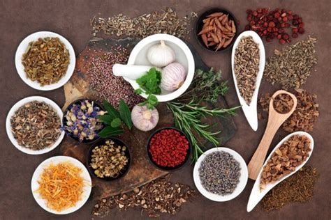 15 Powerful Ayurvedic Herbs And Spices With Health Benefits