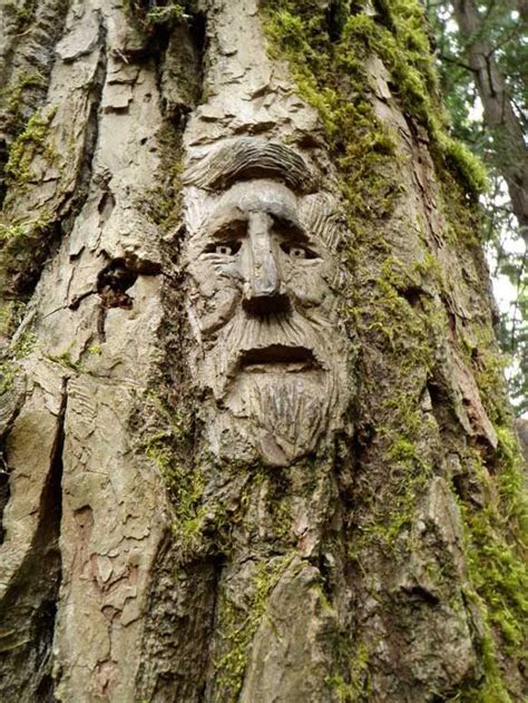 40 Amazing Tree Carving Examples For Inspiration Tree Carving Tree