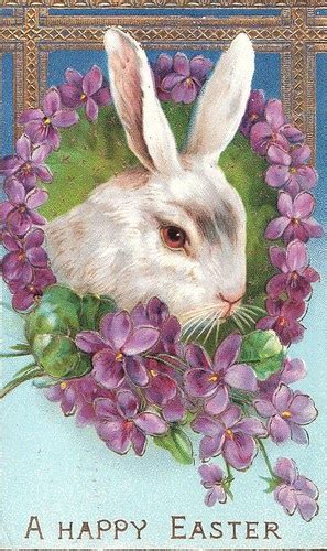 Artzeeccc Vintage Victorian Easter Bunny With Violets Postcard