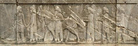 Persepolis Apadana North Stairs Tribute Bearers Cappadocians Livius