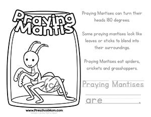 How much time will your bible reading increase? Color & Learn Bug Worksheets - Preschool Mom