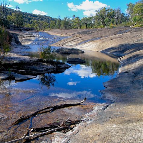 World Heritage Areas And Gondwana Rainforest ⎮nature Bound Australia