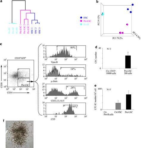Molecular And Functional Characterization Of The Modeled Pre Lscs A