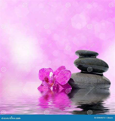 Zen Massage Stones And Orchid Flowers Reflected In Water Stock Image Image Of Boulder Feng