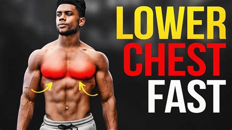 Workouts For Your Lower Chest Workoutwalls