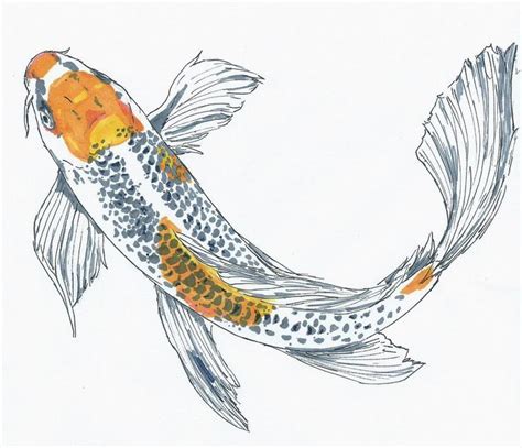 Lew markle, a south wales tu member and owner of lew's canoes, will share his knowledge of building and restoring the wood/canvas canoe. Image result for koi fish drawing pen | Carpe koi, Dessin ...
