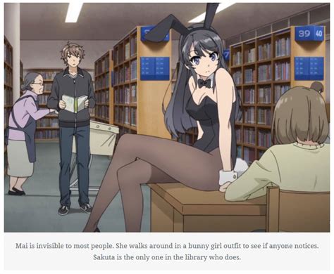 Rascal Does Not Dream Of Bunny Girl Senpai This Is My Place