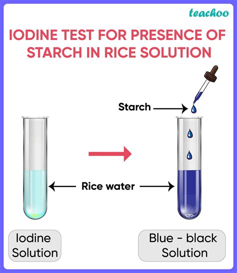 Science Mcq A Few Drops Of Iodine Solution Were Added To Rice Water