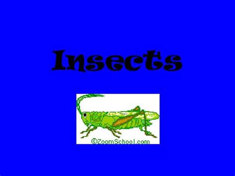 Ppt Insects Powerpoint Presentation Free Download Id830171