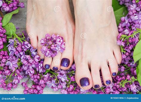 Woman Feet With Dark Purple Pedicure And Lilac Stock Photo Image Of