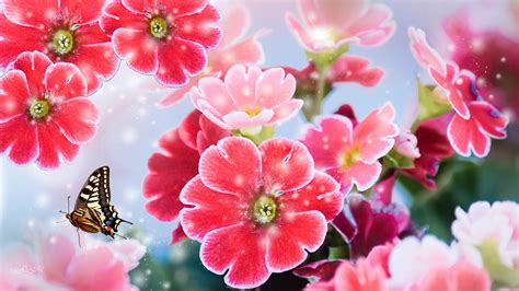 Bright Floral Background Free Download Pixelstalknet