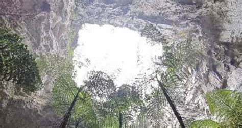 Massive Sinkhole Found In Southern China With A Forest At The Bottom