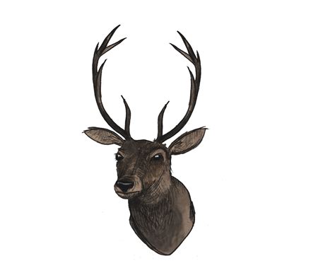 Free Deer Illustrations, Download Free Deer Illustrations ...