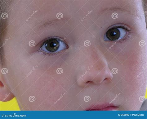Boy Eyes Stock Photo Image Of Kids Brown Youth Eyes 356080