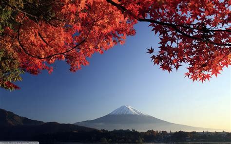 Fall Japan Trees Mountain Sky Mount Fuji Wallpapers Hd Desktop