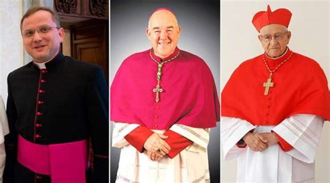 ¿en Qué Se Diferencian Un Monseñor Un Obispo Y Un Cardenal Paz