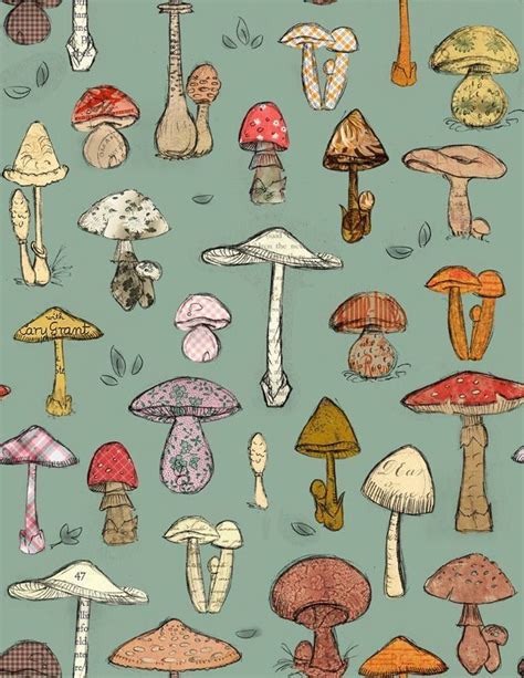 Pin On Mushroom Drawing