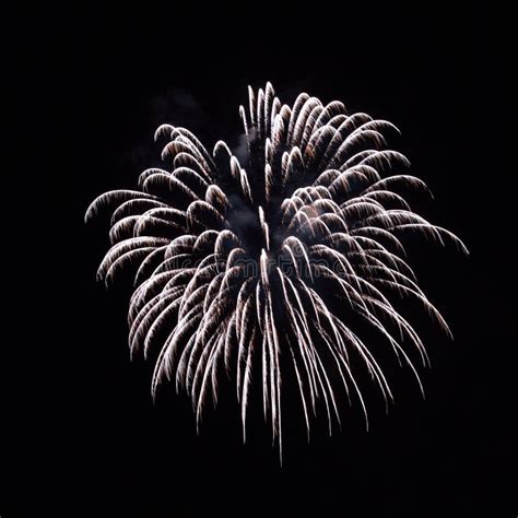Black And White Fireworks Celebration Stock Photo Image Of White