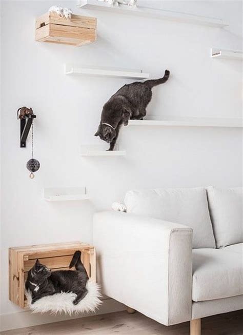 Cats need a place to jump, climb, and scratch, and if you don't give it to. How to Create an Indoor Cat Climbing Wall | Diy cat ...