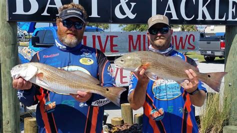 Sight Fishing For Redfish Everything You Need To Know Shallow Water