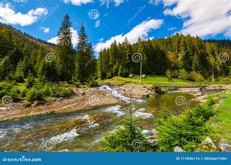 Beautiful Landscape With Forest River In Mountains Stock Photo Image