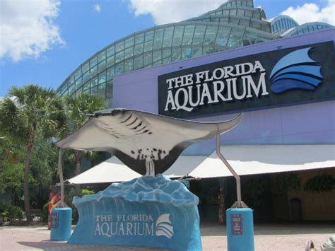 Florida Aquarium Exterior Courtesy Of Visit Tampa Bay Carrie On Travel
