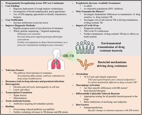Frontiers | Drug resistant tuberculosis: Implications for transmission