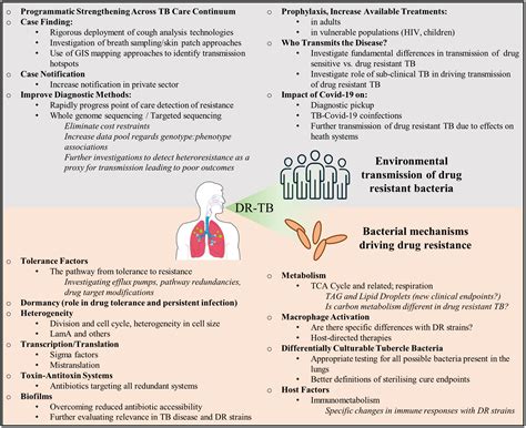 Frontiers Drug Resistant Tuberculosis Implications For Transmission