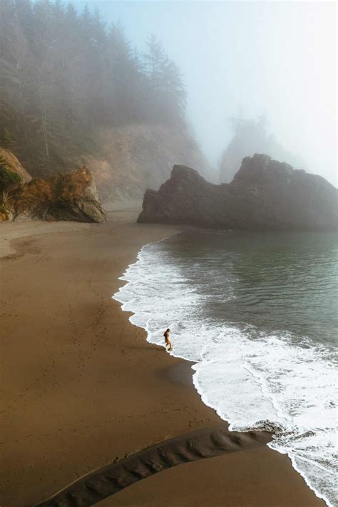 Oregon Coast Camping Pacific Coast Road Trip Southern Oregon Coast