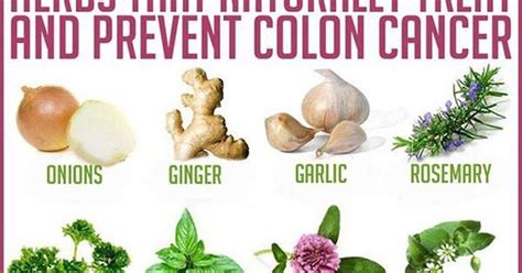Rainbowdiary Herbs That Naturally Treat And Prevent Colon Cancer