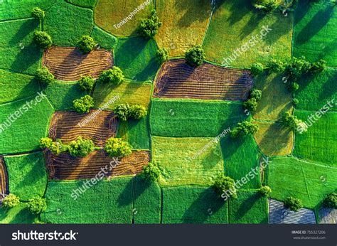 All an giang province hotels an giang province hotel deals by hotel type. Royalty high quality free stock image aerial view of rice ...