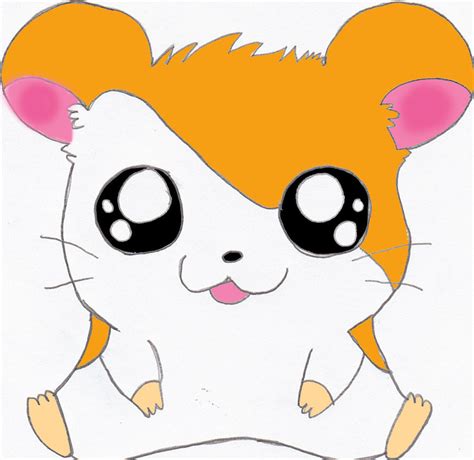 25 Unique Cute Anime Hamster