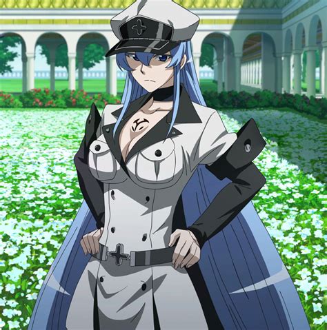 Esdeath Is She Really A Villain By Lordcamelot2018 On Deviantart
