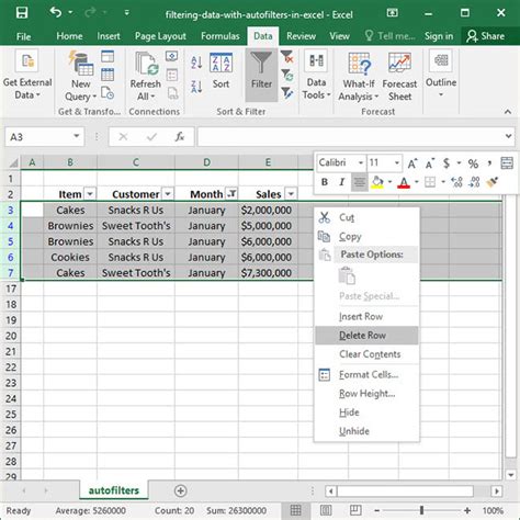 Filtering Data With Autofilters In Excel Deskbright