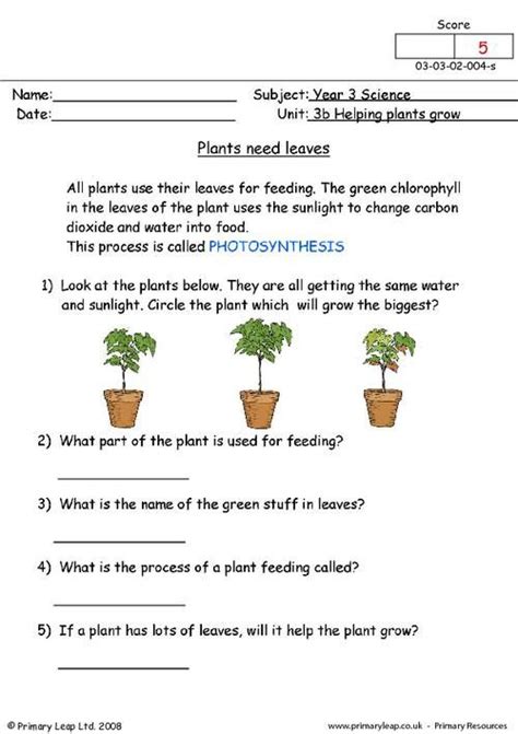 Plants Grow Worksheets