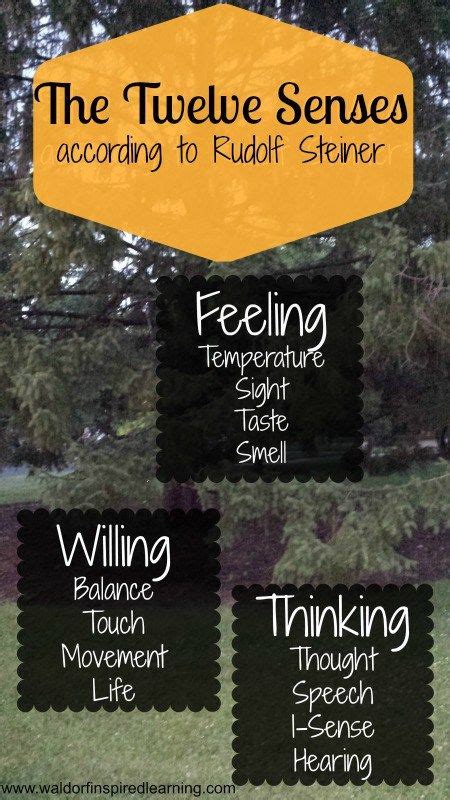Remembering And Forgetting The Twelve Senses ⋆ Art Of Homeschooling