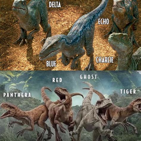 Jurassic World Raptor Squads Jurassic Park Know Your Meme
